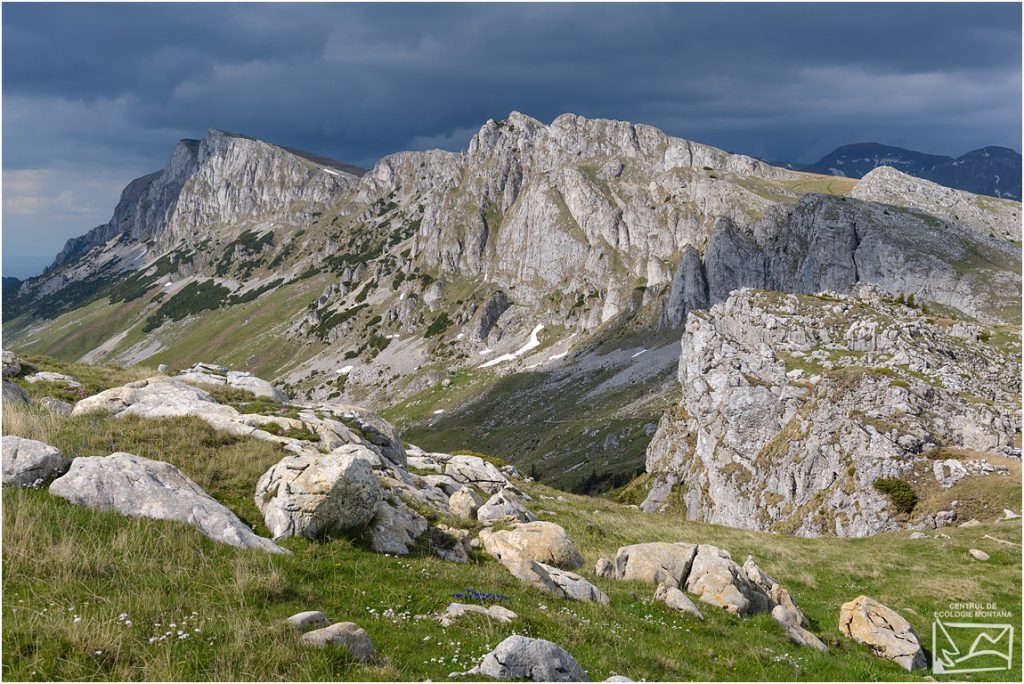 Formațiuni Calcaroase în zona Muntele Bătrâna - Strunga